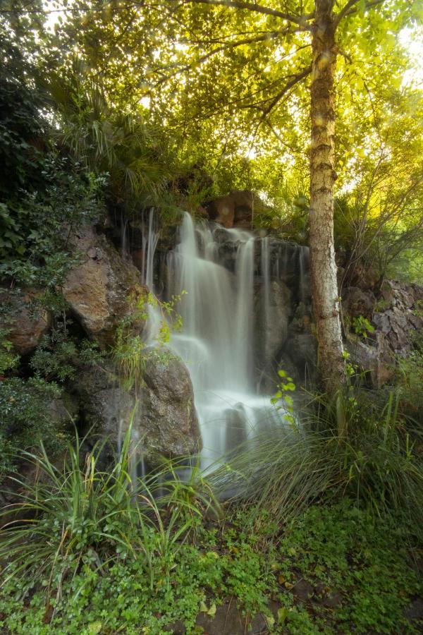 Villa Ginepro  Dorgali Esterno foto